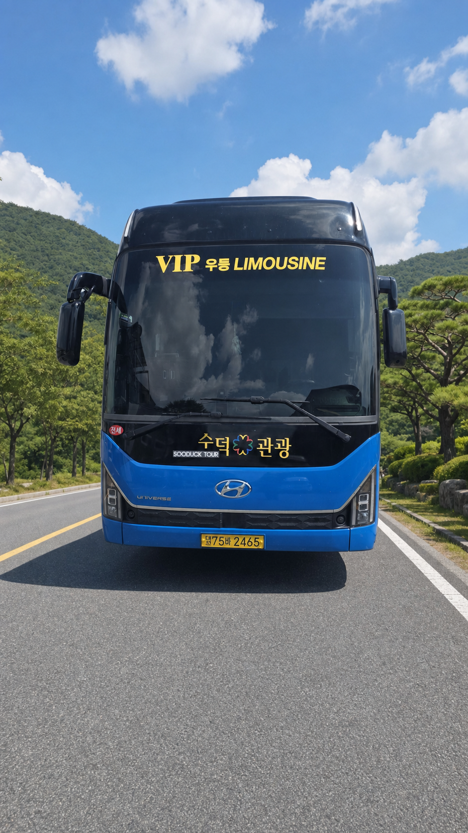 관광도로 배경의 수덕관광 파란 VIP 차량 정면 전체 모습